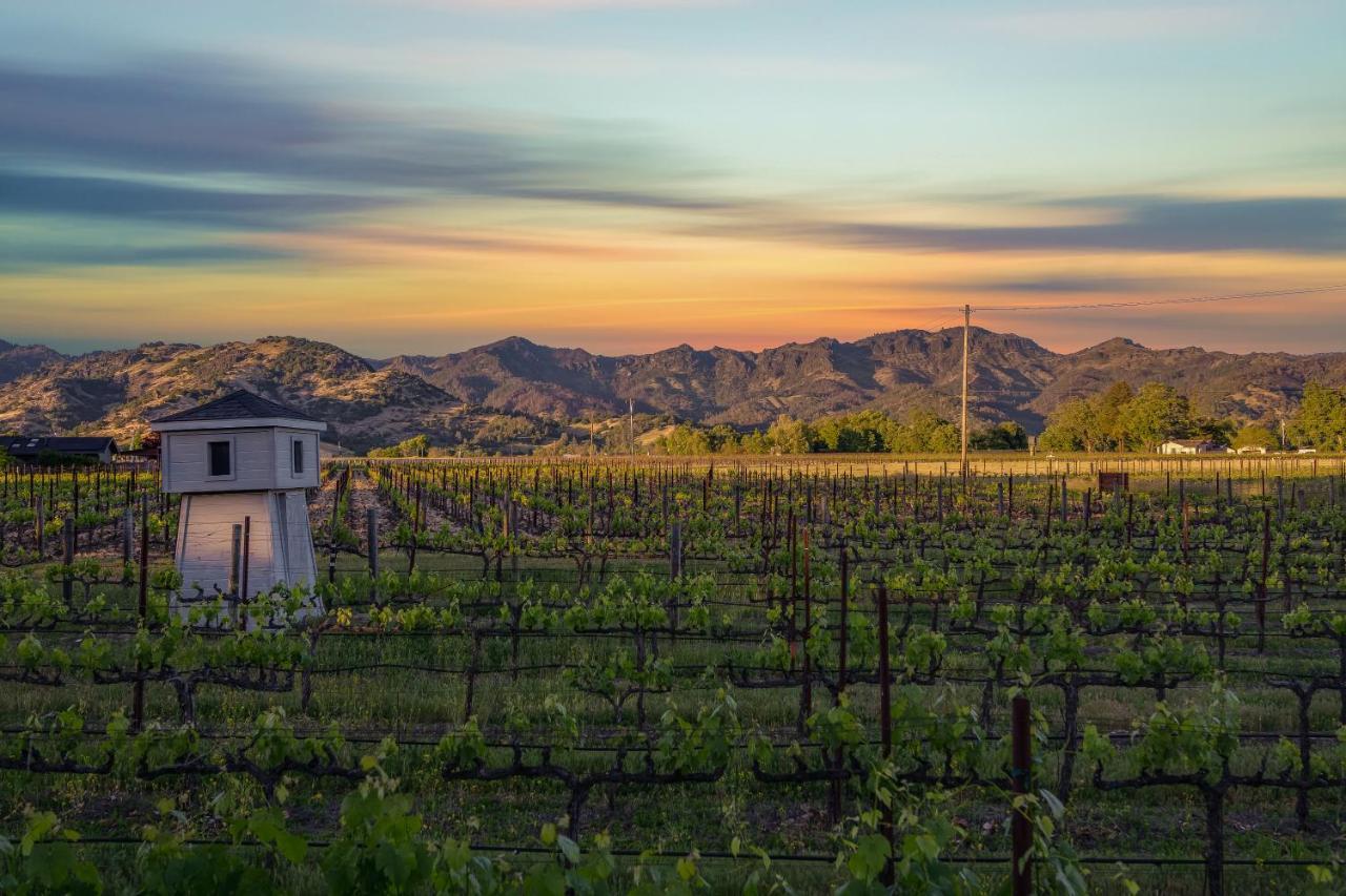 Chateau De Vie คาลิสโทกา ภายนอก รูปภาพ